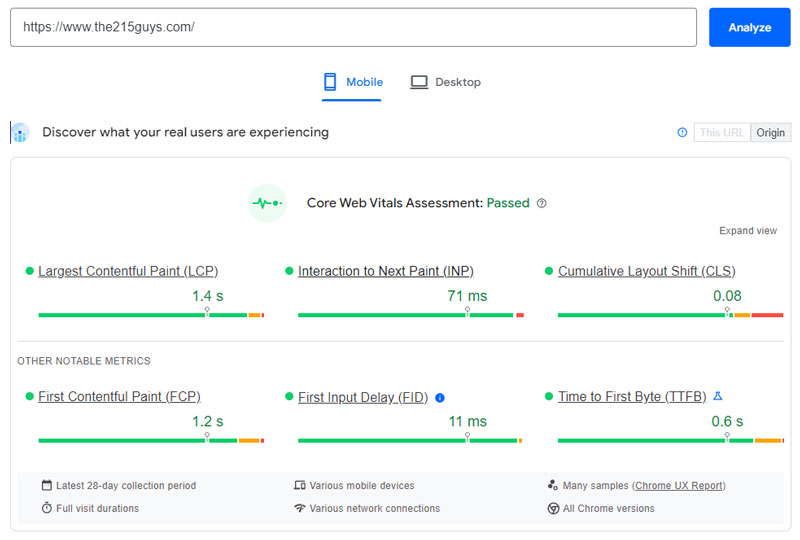 pagespeed test results showing the assessment passed